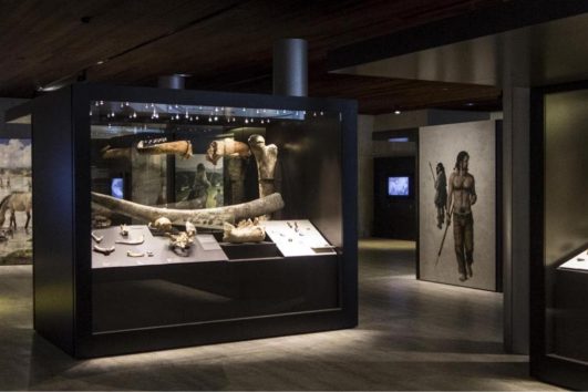 Visita privada Iverem Sala Prehistoria MAN