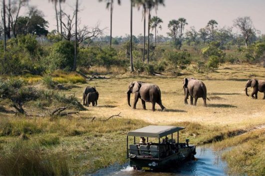 Parques naturales de Tanzania