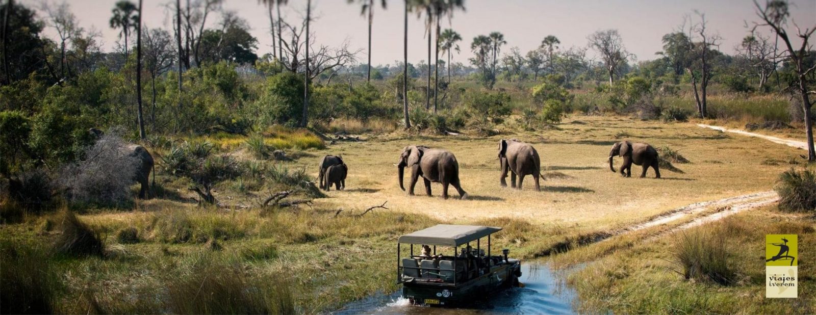 Parques naturales de Tanzania